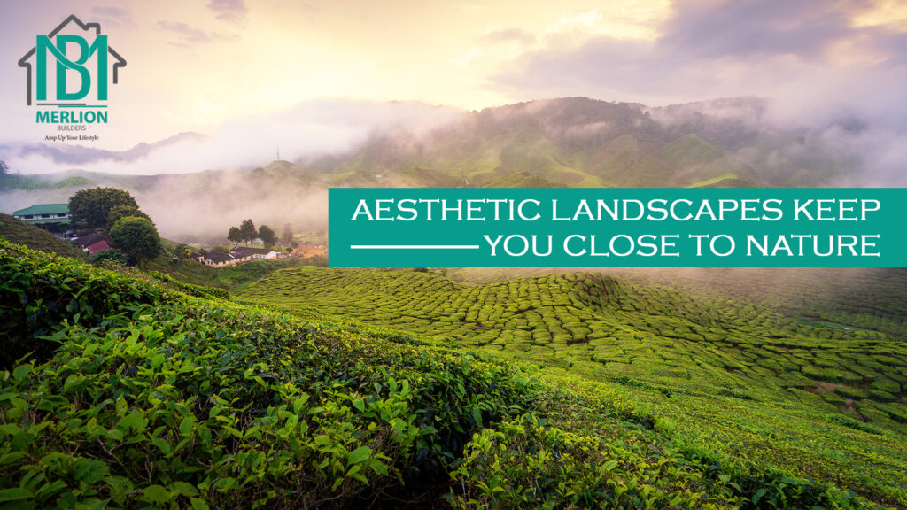 Aesthetic Landscapes Keep You Close to Nature